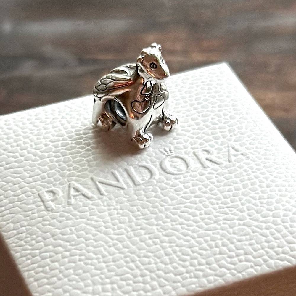 Authentic Pandora RARE 'Winniper' Charm!
